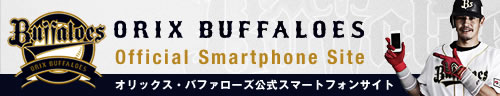 スマートフォンサイト